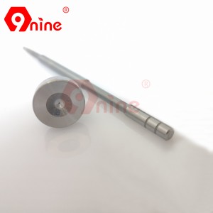 Valve Set F00Rj00420 F00R J00 420